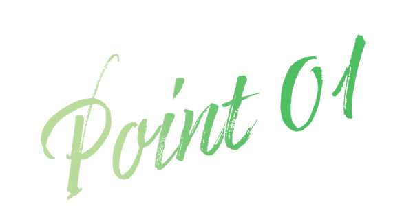 POINT 01